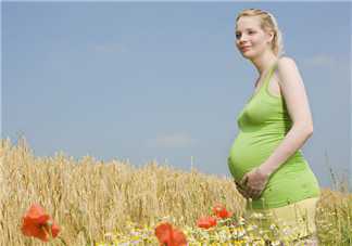 52岁供卵试管医院排名专业评估