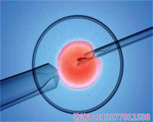 国内正规试管助孕宝宝流程